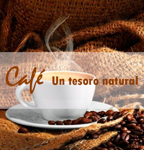 Ruta del cafe tesoro natural