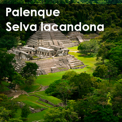 Palenque Express