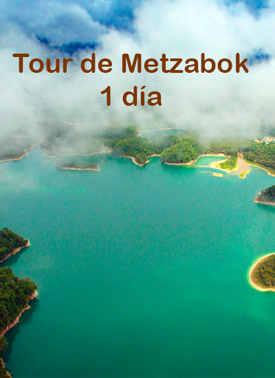 vive Metzabock