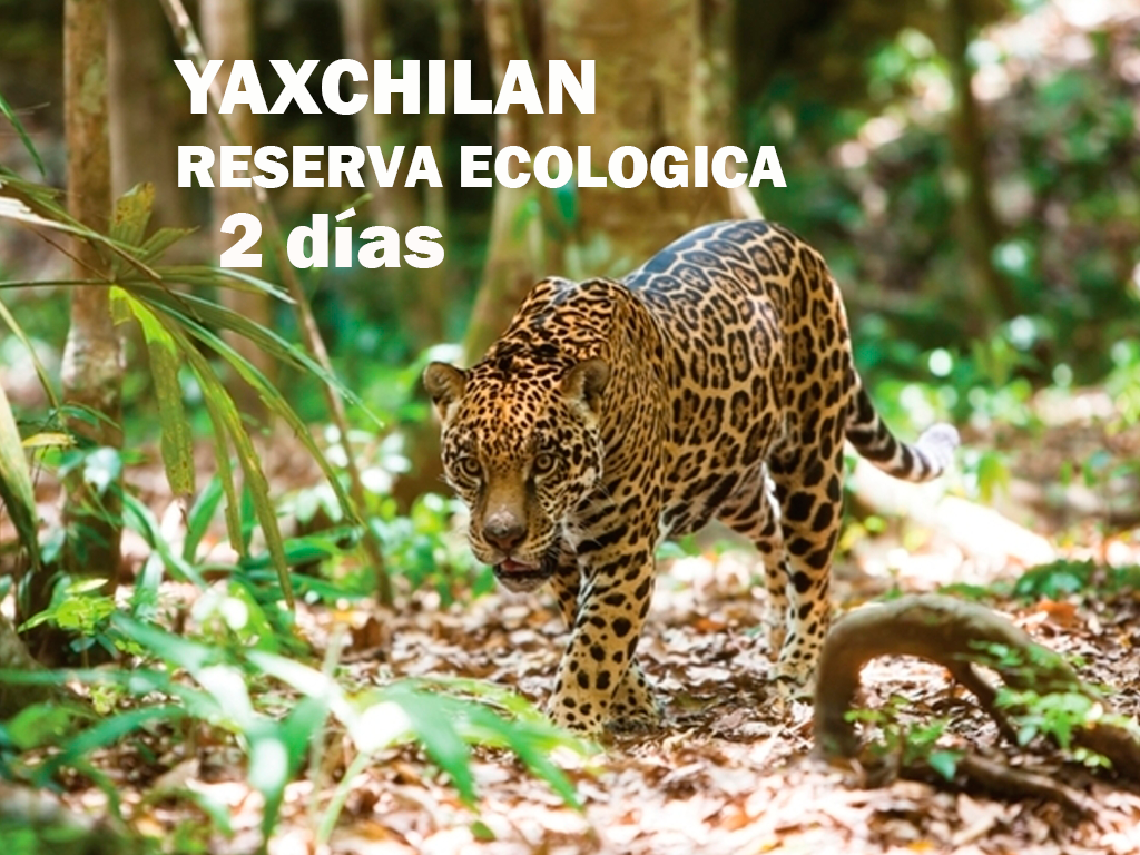 Yaxchilan y Reserva Ecológica