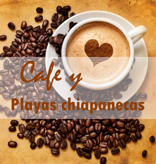 cafe-playas