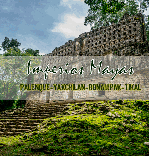 Tour a Tikal desde Palenque